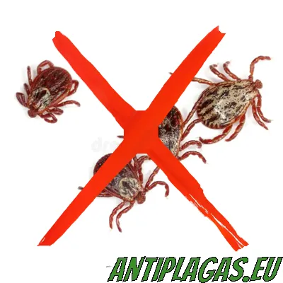 Control de ratas en comunidad de vecinos