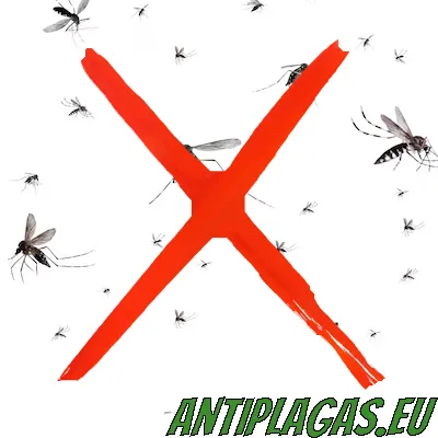 Fumigación contra mosquitos en Marina Alta